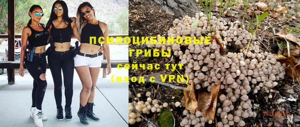 каннабис Богданович