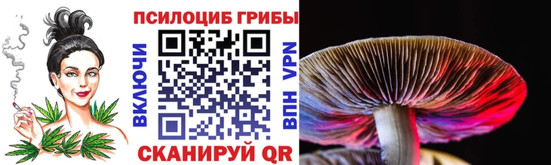 Псилоцибиновые грибы MAGIC MUSHROOMS  Белорецк 